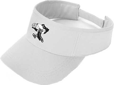 MBNC Umpire Visor