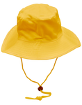 Broad Brim Hat