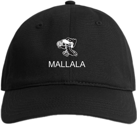 MNBC Dad Cap